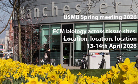 ECM biology across tissue sites. Location, location, location