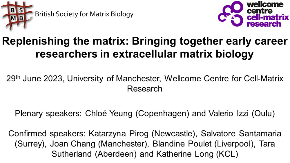 Replenishing the matrix: Bringing together early career researchers in extracellular matrix biology