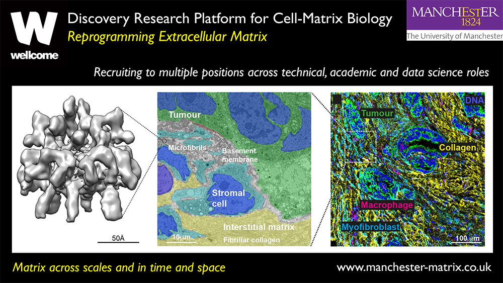 Discovery Research Platform for Cell Matrix Biology