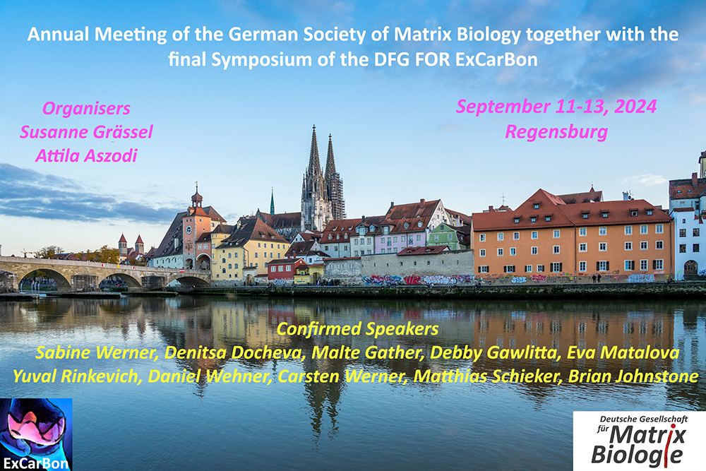 Annual Meeting of the German Society for Matrix Biology