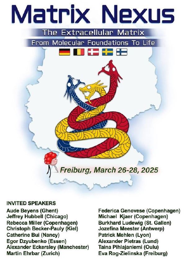 The Matrix Nexus: [matrixbiologie.de] From Molecular Foundation to Life meeting  at Freiburg, Germany 26-28th March 2025